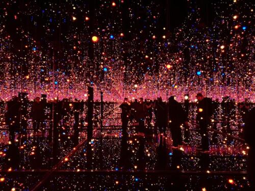 Infinity Mirror Room - Brilliance of Life